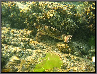IMG_1321.jpg