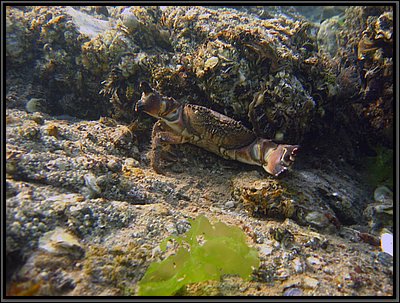 IMG_1321t.jpg