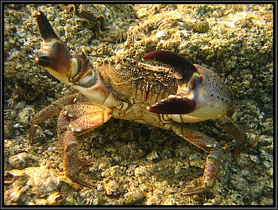 IMG_1324.jpg