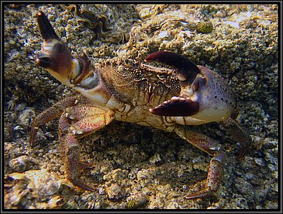 IMG_1324t.jpg