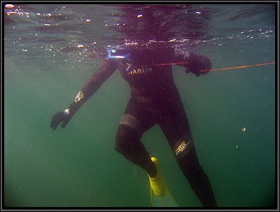 IMG_1331t.jpg