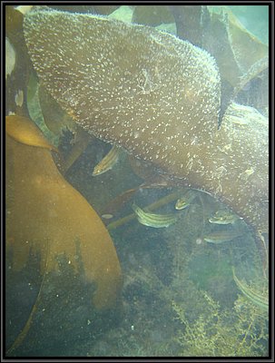 IMG_1432.jpg