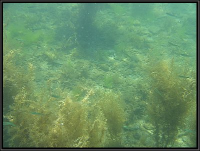 IMG_4302.JPG
