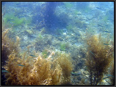 IMG_4302t.jpg