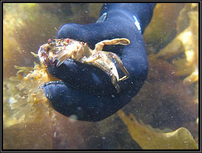 IMG_4333.JPG