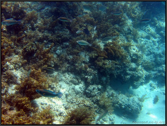 IMG_5304.JPG