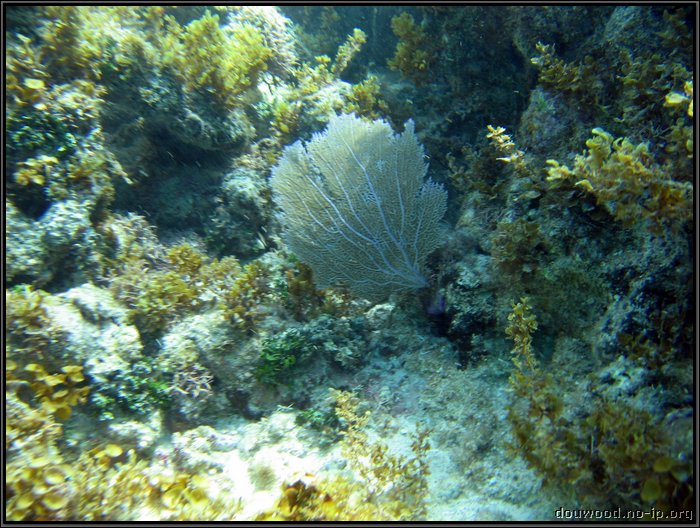 IMG_5340.JPG