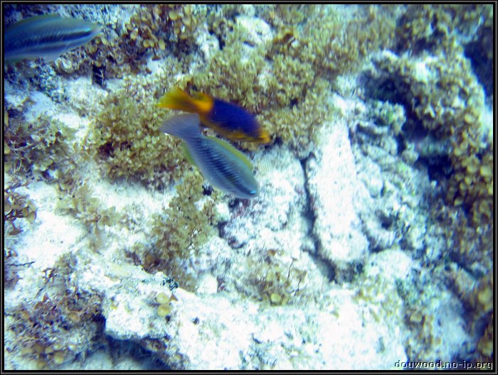 IMG_5350.JPG