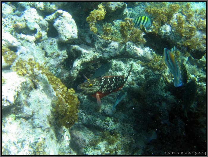 IMG_5370.JPG