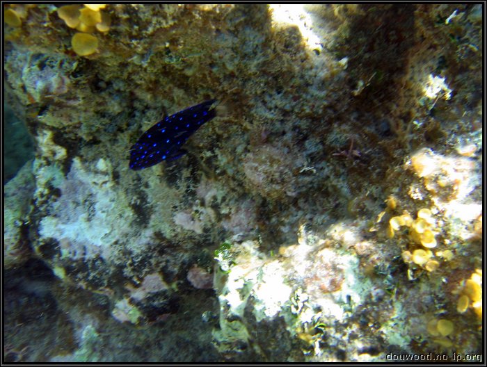 IMG_5373.JPG