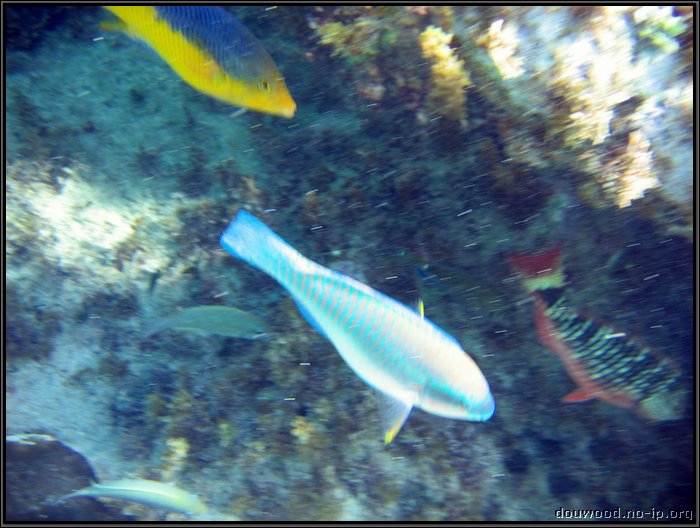 IMG_5395.JPG