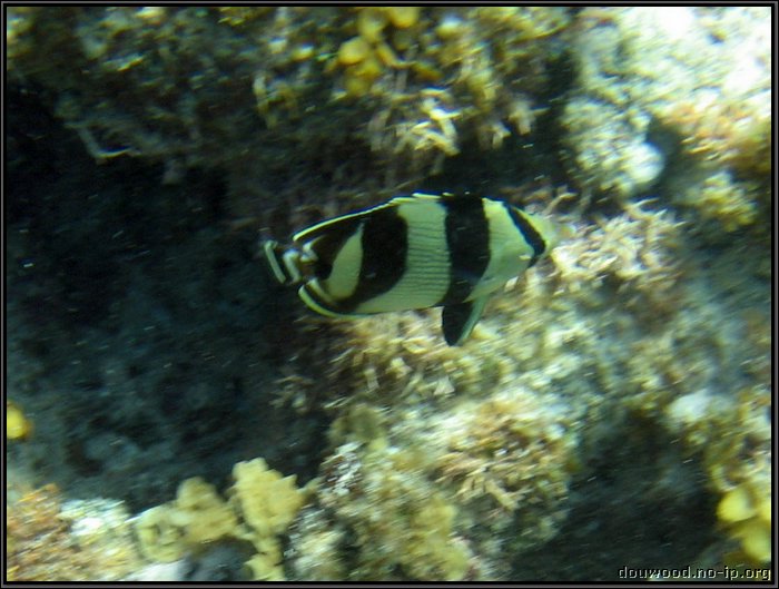 IMG_5399z.jpg