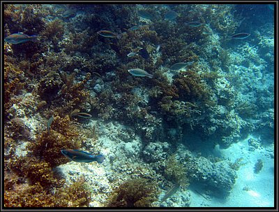 IMG_5304.JPG