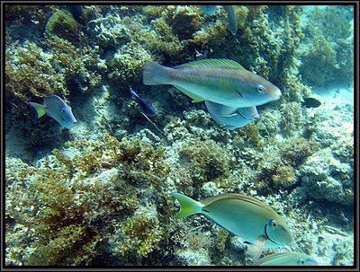 IMG_5320.JPG