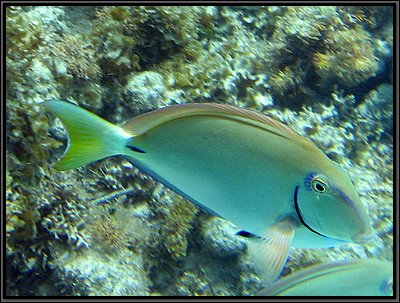 IMG_5320z.jpg