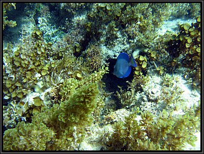 IMG_5322.JPG