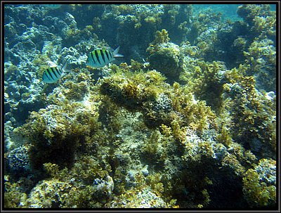 IMG_5325.JPG
