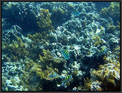 IMG_5326.JPG