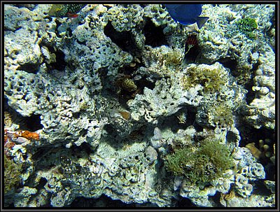 IMG_5333.JPG