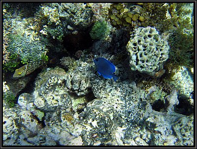 IMG_5334.JPG