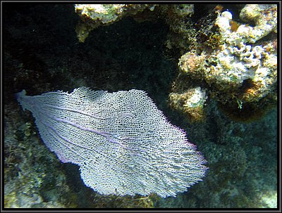 IMG_5342.JPG