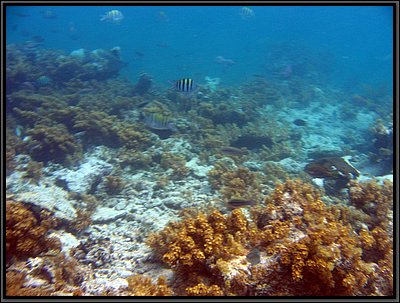 IMG_5343.JPG
