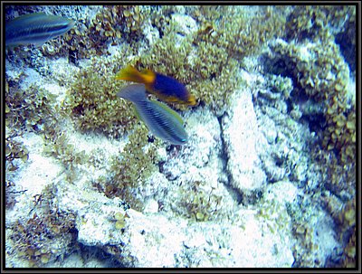 IMG_5350.JPG