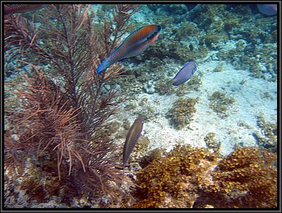 IMG_5351.JPG