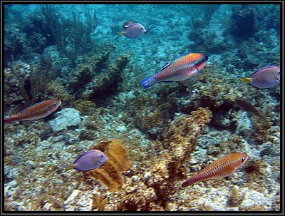IMG_5352.JPG