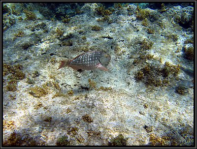 IMG_5363.JPG