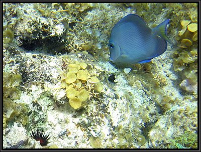 IMG_5364z.jpg