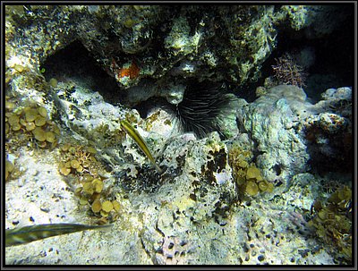 IMG_5367.JPG