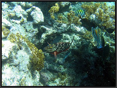 IMG_5370.JPG