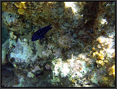 IMG_5373.JPG