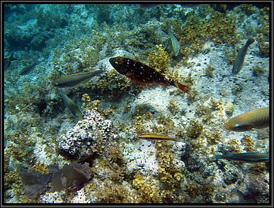IMG_5376.JPG