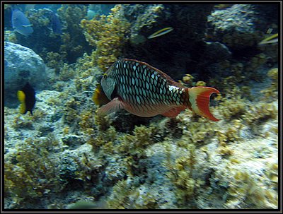 IMG_5380.JPG
