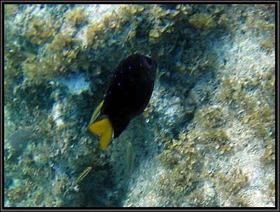 IMG_5384z.jpg