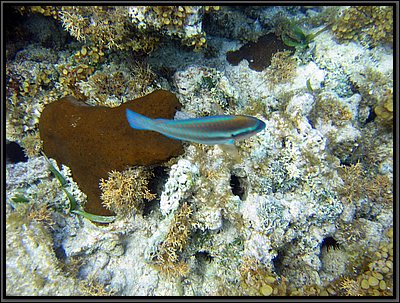 IMG_5386.JPG