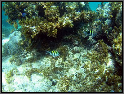 IMG_5391.JPG