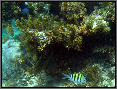 IMG_5391z.jpg