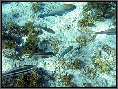 IMG_5393.JPG