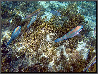 IMG_5394.JPG