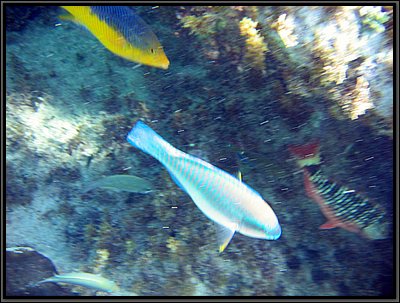 IMG_5395.JPG