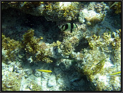 IMG_5399.JPG