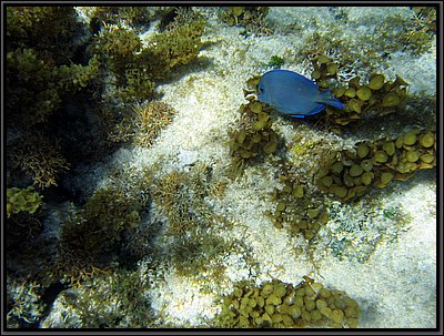 IMG_5400.JPG