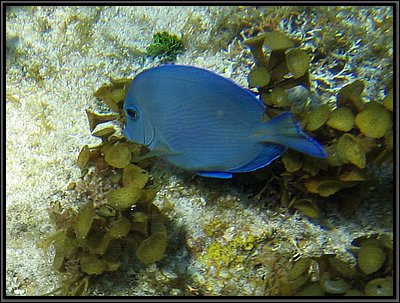 IMG_5400z.jpg