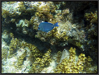 IMG_5412.JPG