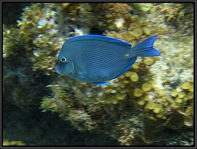 IMG_5412z.jpg