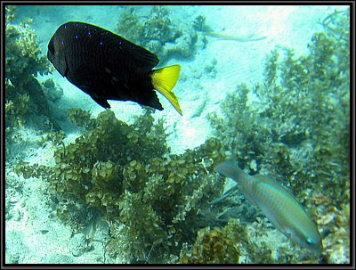 IMG_5420z.jpg
