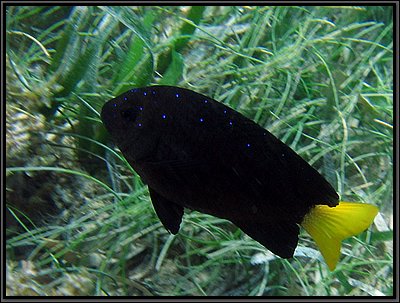 IMG_5422z.jpg